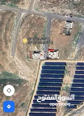  3 أرض للبيع - شفا بدران - زينات الربوع - حوض الشكارة