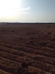  2 ارض  للزراعه لكل المحاصيل قريبه من آبار المياه