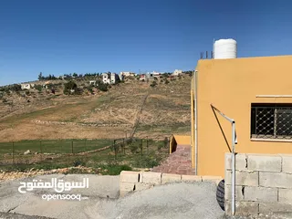  5 منزل ومزرعة للبيع في منطقة المريجمة-مادبا