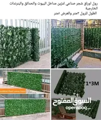  6 رول ورق شجر اخضر كثيف