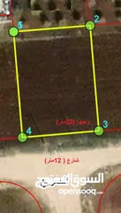  1 660متر_ اراضي الصريح _ ضمن سلمان الشمالي _ جنوب شارع البترا