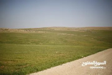  11 ارض مفروزه للبيع من المالك مباشره