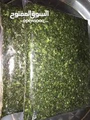  6 ملوخيه شغل بيت 4كيلو اخضر ب 10د ناشف الكيلو 5  اقل سعر  ملوخيه السنه نخبب  ملوخيه مغسله ونضيفه وجاهز