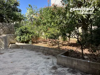  1 شقة للأيجار لموظفات او طالبات بنص البلد