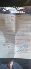  10 اكسنت 97 تومتيك