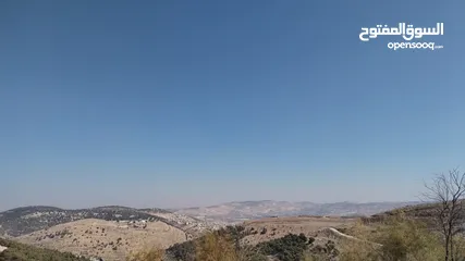  4 للبيع 6 دونم ونصف في السلط المغاريب حوض الوطيه