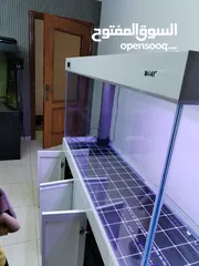  3 حوض أجنبي متر ونص