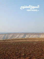  16 مزرعه أربعه دونم مشيكه بالكامل ارض زراعيه وبيت ريفي غرفتين وحمام ومطبخ صغير وباربكيو وساحه واسعه