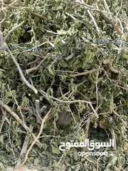  2 حطب شجرة توت
