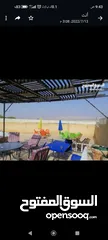  17 مزرعه شاليه في تله الرمل اطلاله على جبال فلسطين منطقه شاليهات