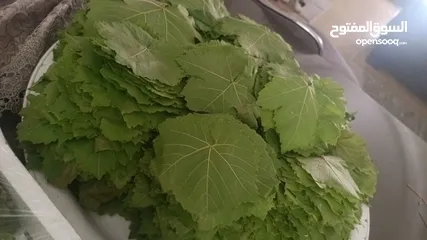  7 ملوخيه وورق عنب وفول وفاصوليا وسبانخ وخضار فروزن
