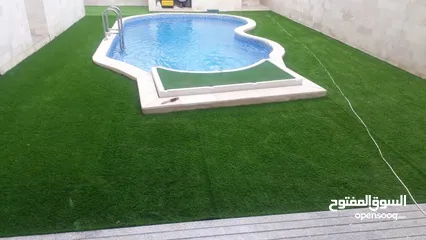  5 artificial grass ,high quality , best prices  variety of grass thickness starts of 10mm upto 50mm