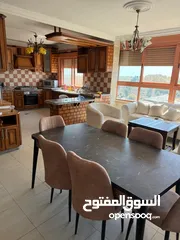  3 شقة مفروشة في المصيون