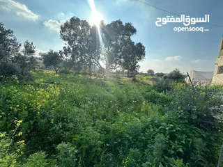  3 ارض جبلية مميزه للبيع