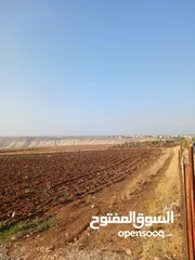  11 مزرعه أربعه دونم مشيكه بالكامل ارض زراعيه وبيت ريفي غرفتين وحمام ومطبخ صغير وباربكيو وساحه واسعه