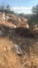  2 ارض للبيع في صوريف منطقة جبل جمرين