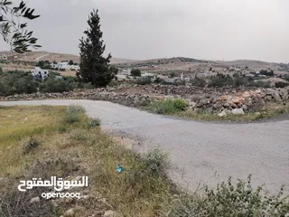  3 فرصه للشراء ارض مشجره جاهزه داخل التنظيم ومخدومه شارع معبد خدمات كامله ومطله