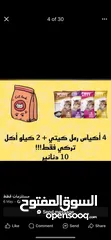  1 رمل قطط عالي الجودة .......................