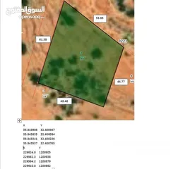  2 قطعة أرض زراعية في عجلون خلف جامعة عجلون الوطنية