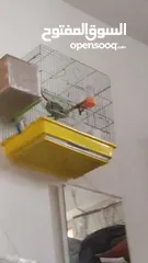  8 بادجي شغال للبيع  شوف الوصف