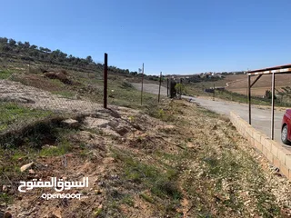  3 منزل ومزرعة للبيع في منطقة المريجمة-مادبا