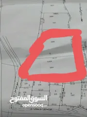  3 ارض تصلح للتنمير وفيها مربح ممتاز