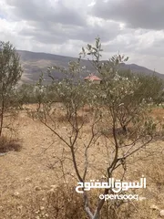  6 بيع قطعة ارض