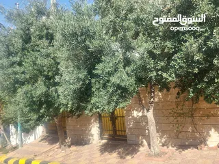  1 بيت مستقل طابقين أول طلوع عدن