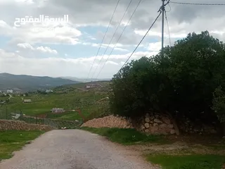  9 لقطة مزرعة مميزة 7 دونمات اراضي جرش عنيبة مشجره جاهزة ب40 الف لكامل القطعة