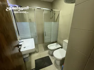  3 Two bedroom apartment for rent  ( Property 39096 )-174813180