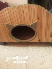  1 بيت للقطط +فرشه للقطط
