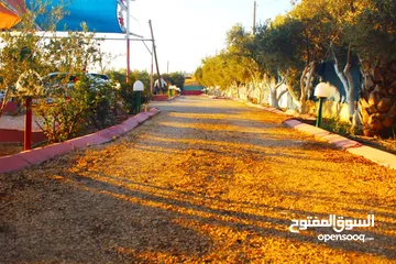  29 منتجع للبيع (مزرعه)
