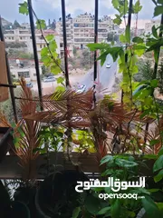  4 شقه للبيع او البدل على بيت مستقل