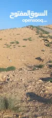  1 قطعة أرض للبيع في رحيل الغربي من المالك مباشرة