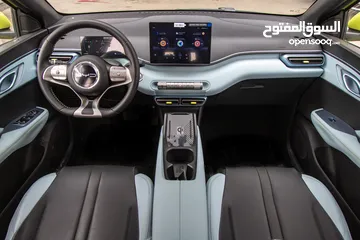  11 BYD Seagull 2023