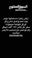  1 دونم ارض للبيع زعترا بيت لحم