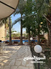  12 مزرعة وشاليه القريه
