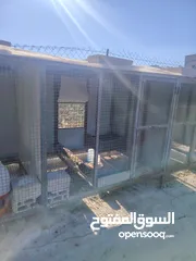  3 قفص حديد تفصيل