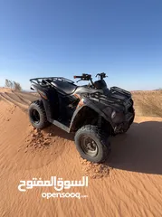  1 Kawasaki BRUTE FORCE 300