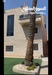  6 فيلا واسعة للايجار