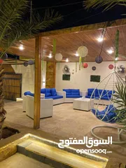  12 شليهت لليجار اليومي