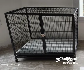  4 Dog crate available