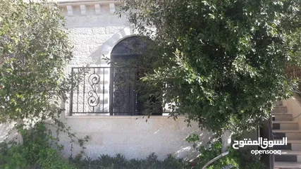  5 سليم علي سليم