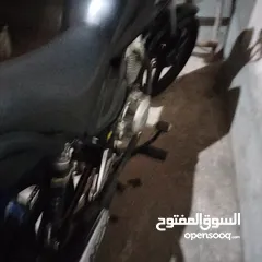  9 هاوجين 3   ارنبه