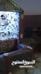  14 مزرعه للبيع....بيع مستعجل...ماشالله