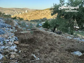  1 ارض 1369متر