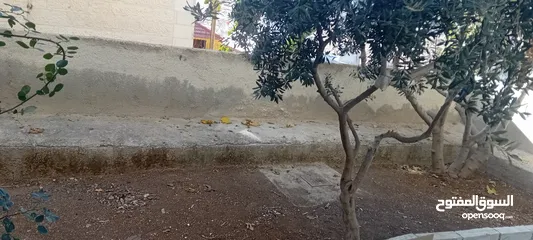  1 شقة للإيجار في زبده