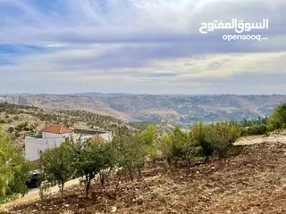 4 أرض مميزة في منطقة النعير 3000 متر