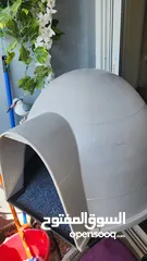  1 cat/ dog house