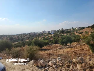  12 ارض مميزة في زبدا الكاشف